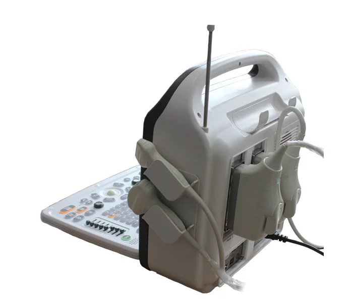 Zviera B-ultrazvuk stroj s vysokým rozlíšením prenosné tehotenstva tester pre hovädzí dobytok, ovce a ošípané, farba veľký displej c10